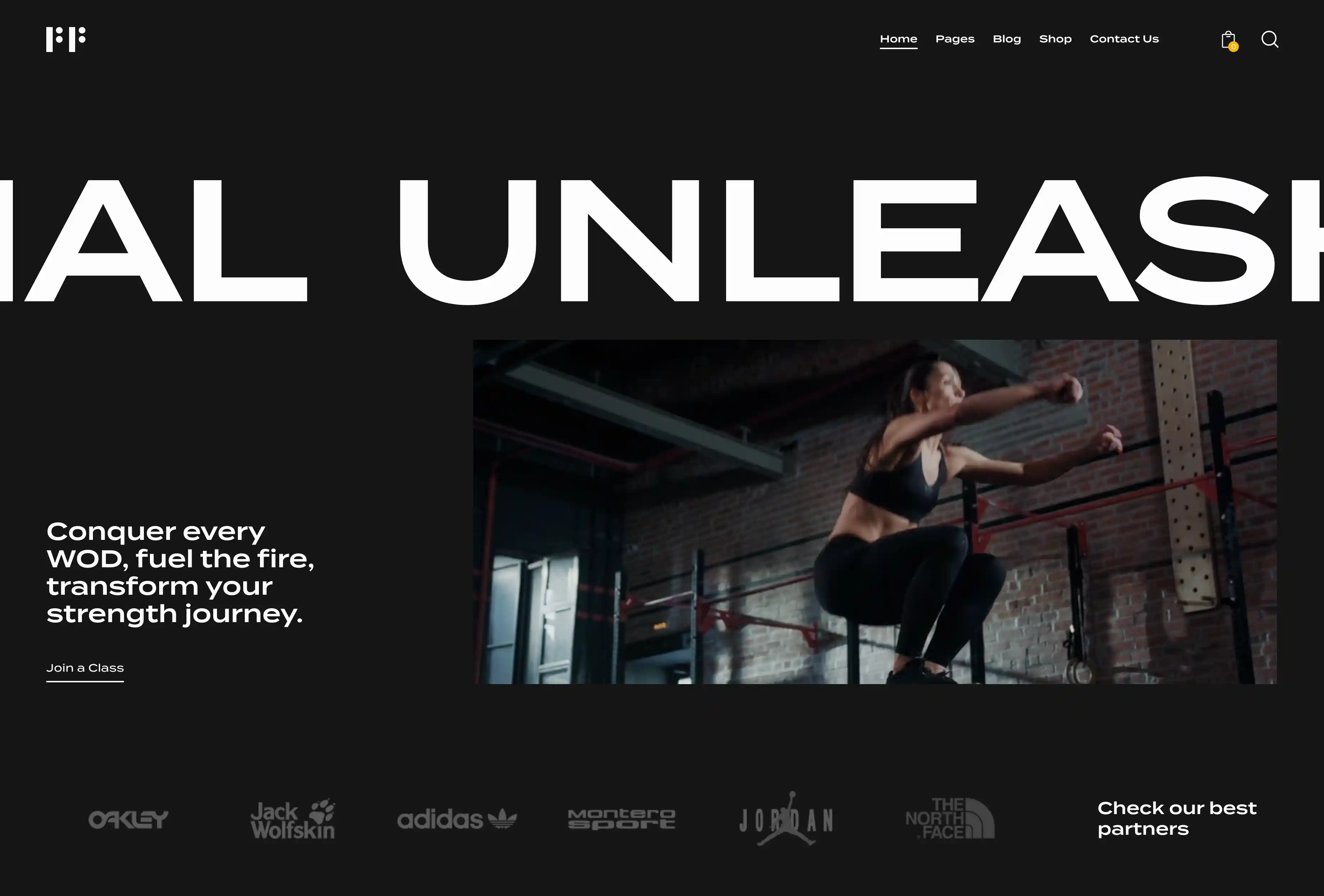Preview of Gym Website